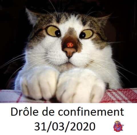 Drole De Confinement