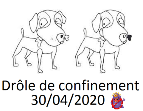 Drole De Confinement
