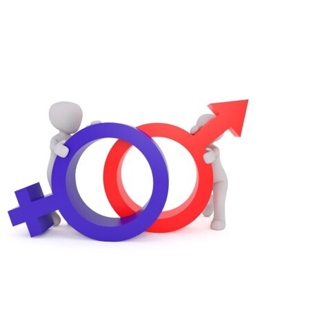 Peggy marco equality 2110559